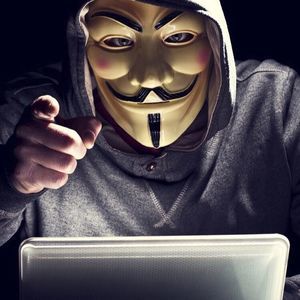 Meet your Posher, Brady